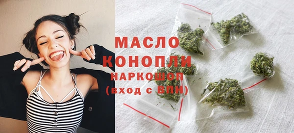 дмт Сатка