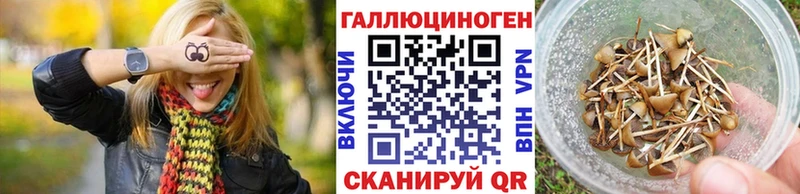 цены   Каргополь  ОМГ ОМГ ONION  Псилоцибиновые грибы прущие грибы 